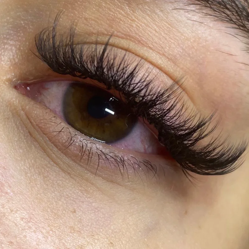 Close-up of a completed volume lash set showing individual fans